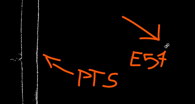 ptsptspts.jpg