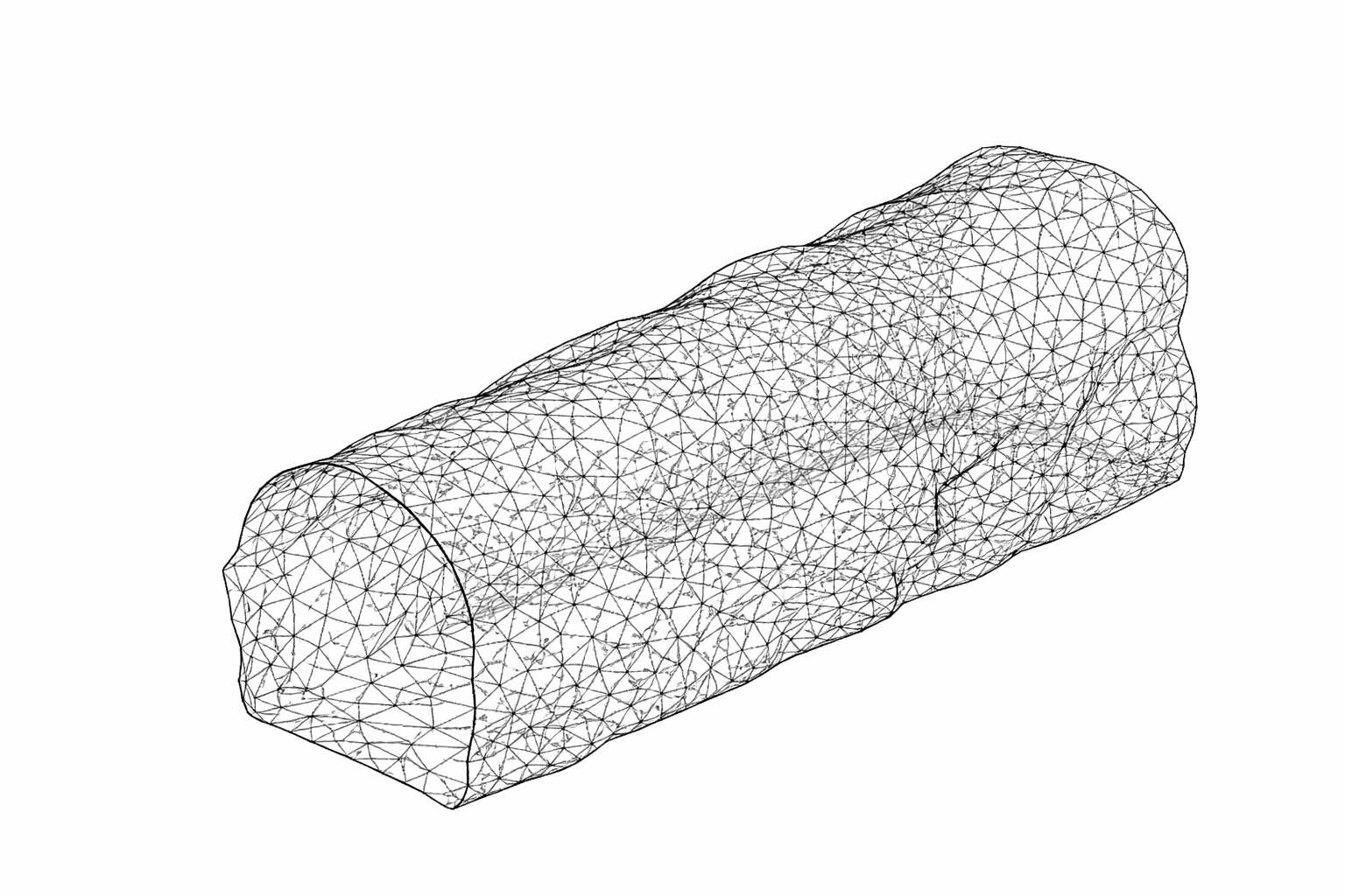 see through mesh.png