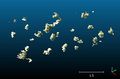 Thumbnail for version as of 17:02, 20 April 2014